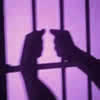 How to Choose an Educational Program That Changes Criminal Behavior (Part 2)