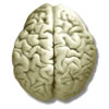 How Effective Teachers Teach to Both Hemispheres of the Brain